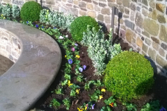 WP_20141016_15_31_43_Pro-scaled