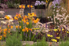 planting-1