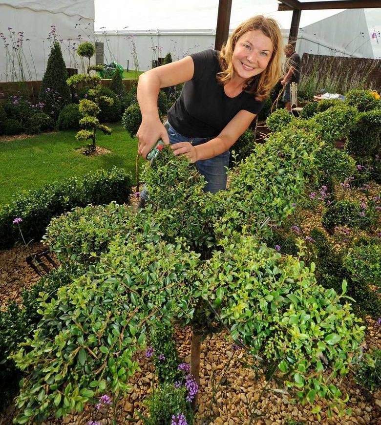 A gardener pruning shrubs in a planted border with shears
