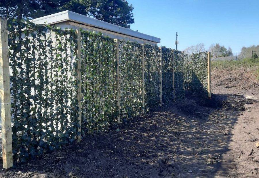 Instant screening panels installed along a boundary, with the ground freshly turned