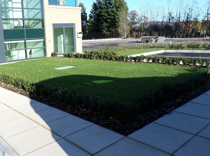 Clipped hedging and a striped lawn framing the paved entrance to an office building