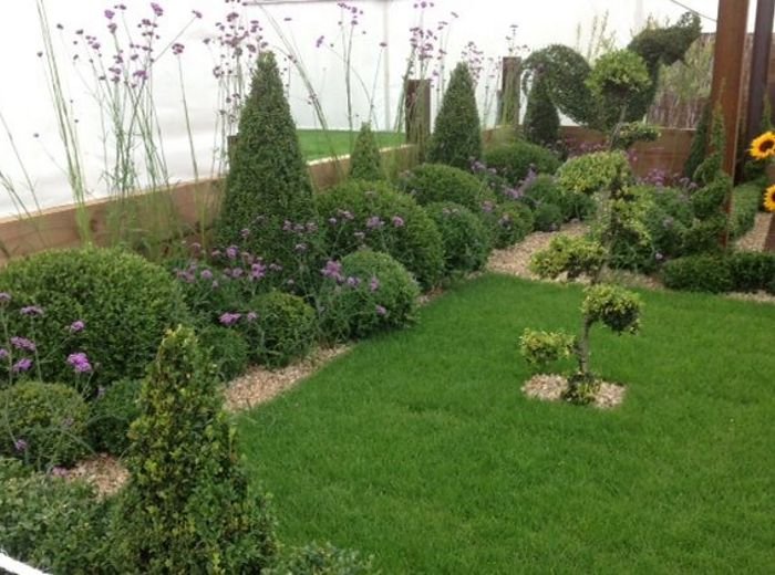 Clipped cones and box balls set into a lawn with purple verbena and mixed planting