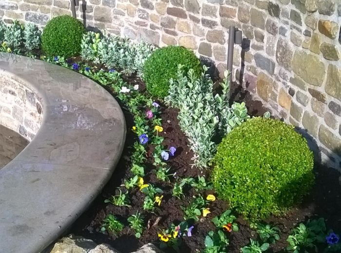 A curved stone wall with a stone seat, clipped box balls and spring bedding above a flagged terrace