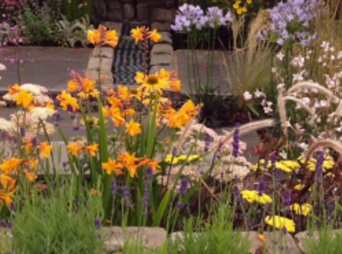 A wide border of orange and yellow perennials with ornamental grasses in late summer