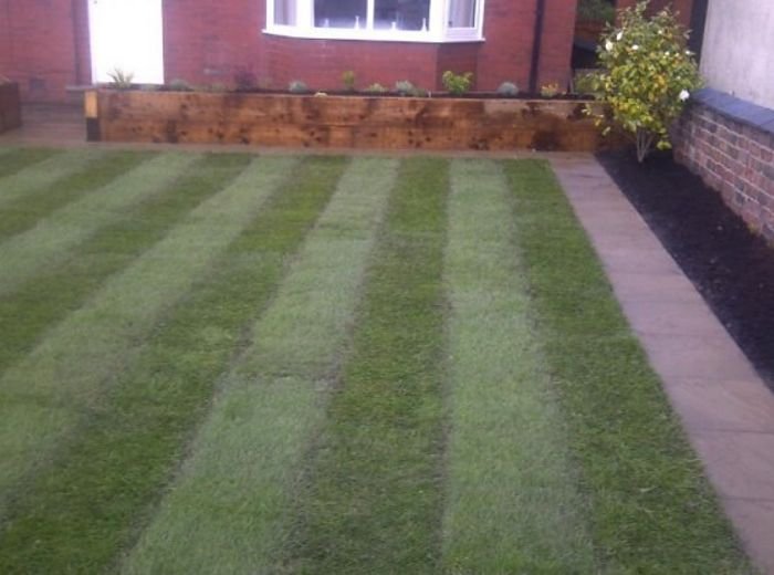 A striped lawn running between a brick wall and a boundary fence after a maintenance visit