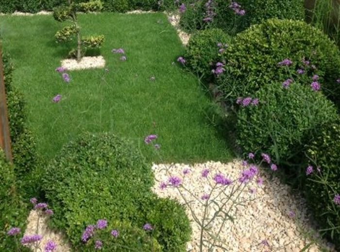 A lawn edged with clipped box, gravel paths and mixed perennial planting