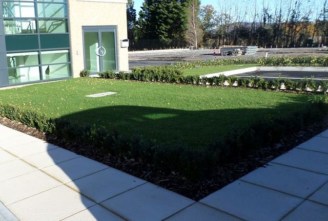 Clipped hedging and lawn framing the entrance to a commercial office building